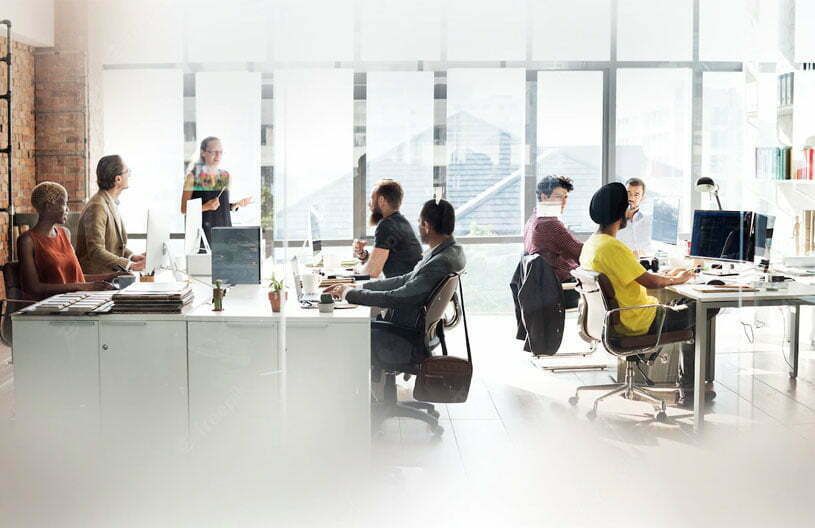 The Most High-performing Software and IT Teams Share these Values