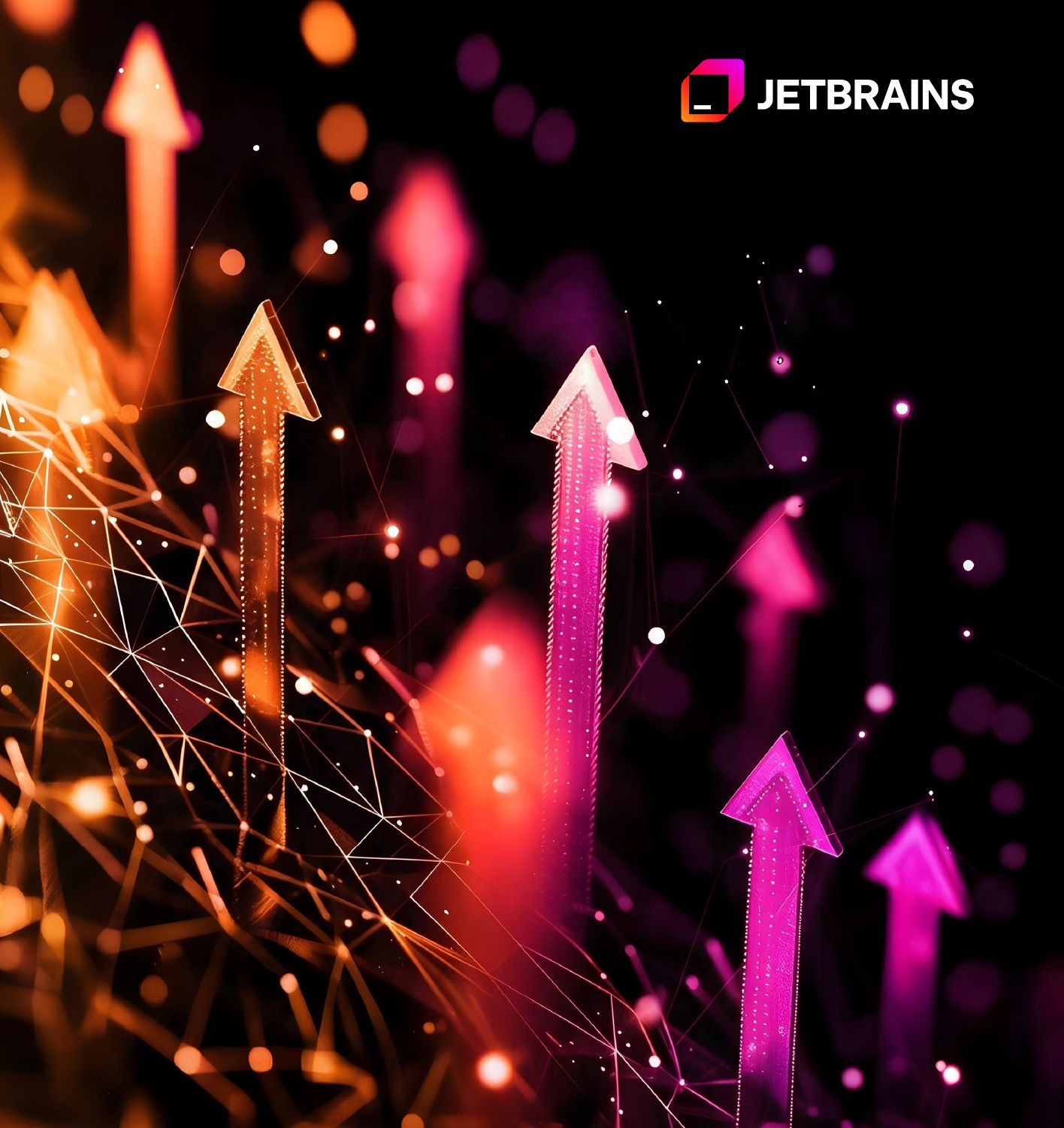 Our JetBrains Services