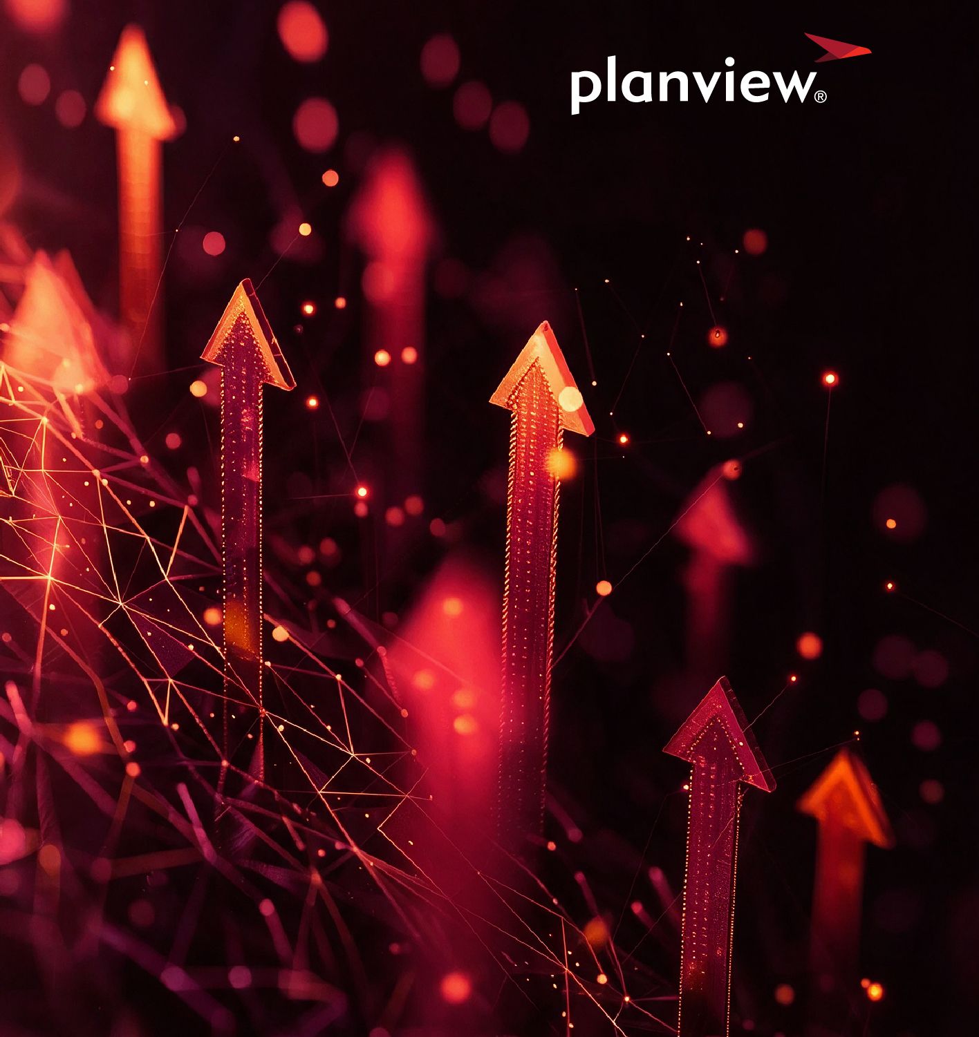 Our Planview Services