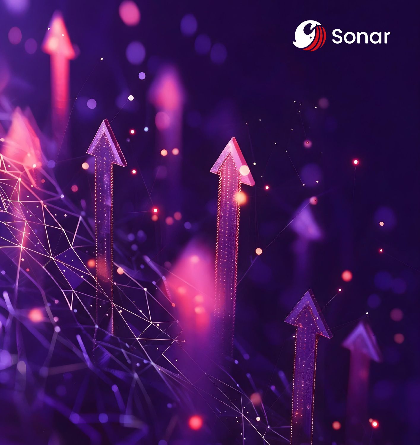 Our Sonar Services